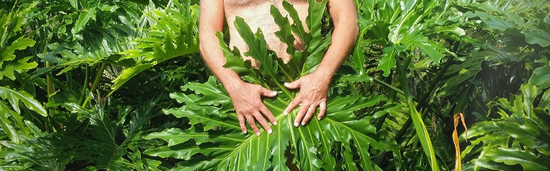 The Intimate Ape Retreat - exploring naturism